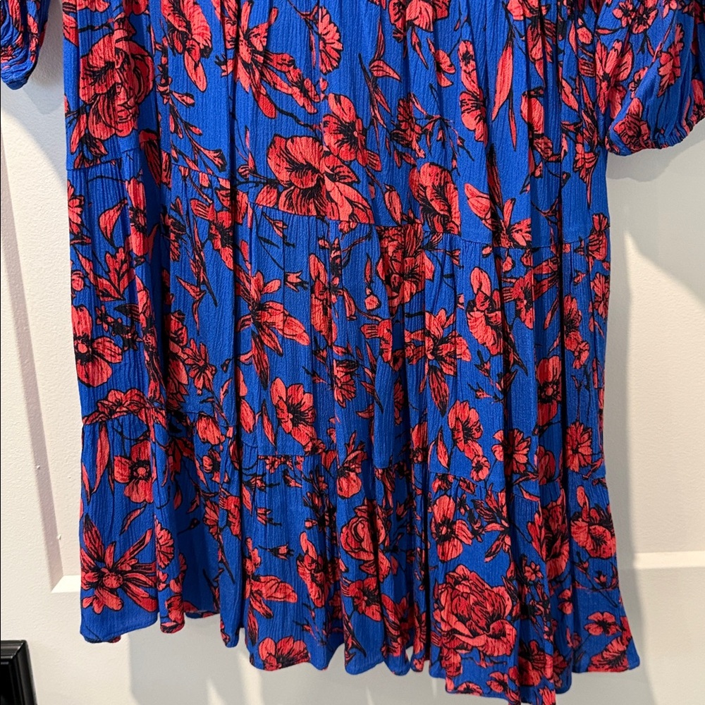 Blue & Red Floral Mini Dress with V-Neck - Picture 4 of 6